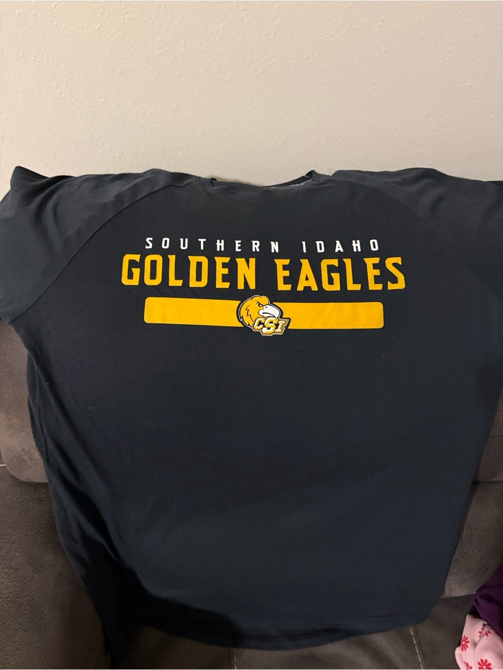 Under Armour Black Southern Idaho Golden Eagles Tee with Gold Logo